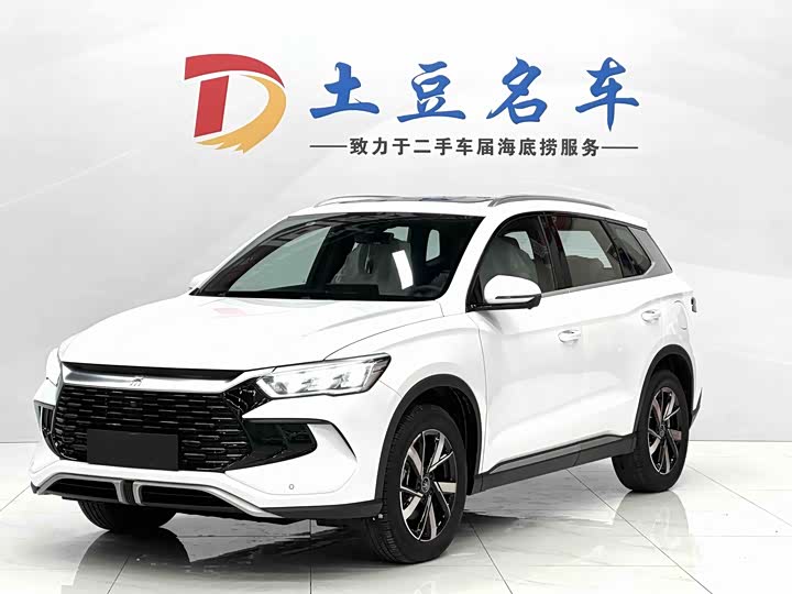 Song Pro New Energy 2024 Honor Edition DM-i 110KM Transcendence