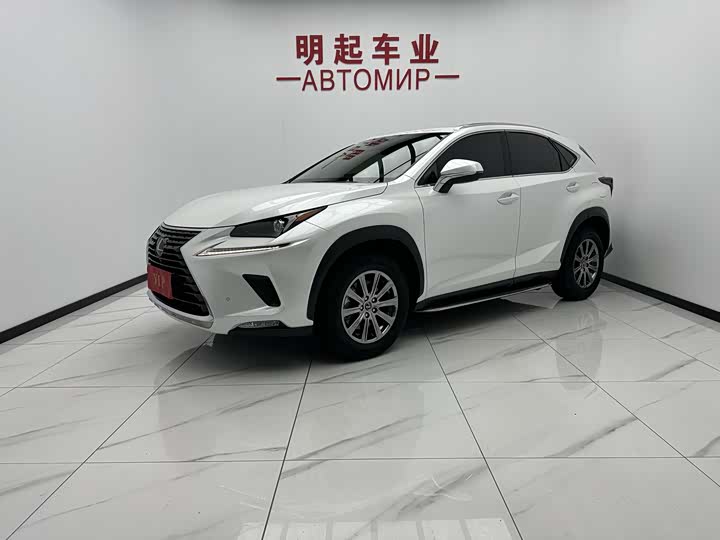 Lexus NX 2020 200 AWD Fengshang Edition National VI