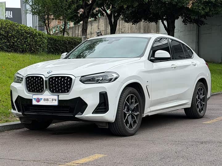 BMW X4 2022 xDrive25i M Sport Package